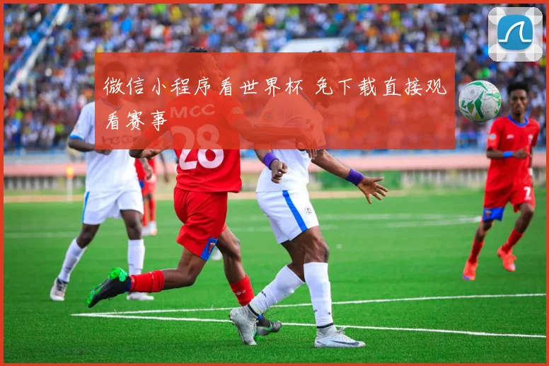 微信小程序看世界杯 免下载直接观看赛事