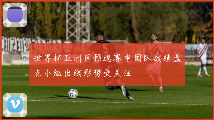 世界杯亚洲区预选赛中国队战绩盘点小组出线形势受关注