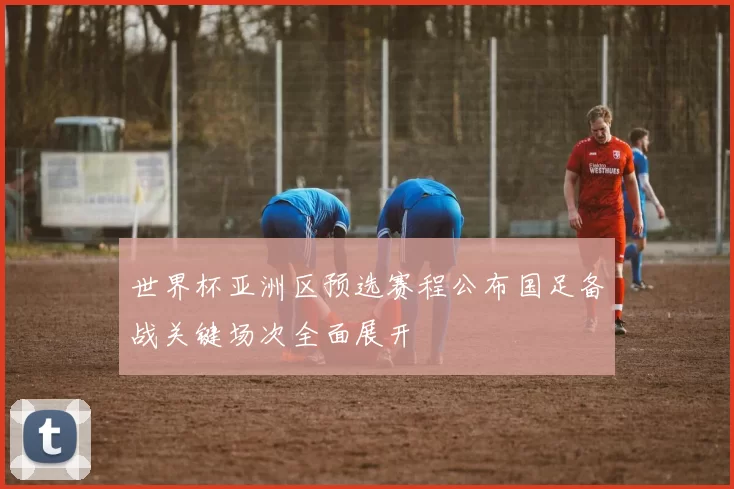 世界杯亚洲区预选赛程公布国足备战关键场次全面展开